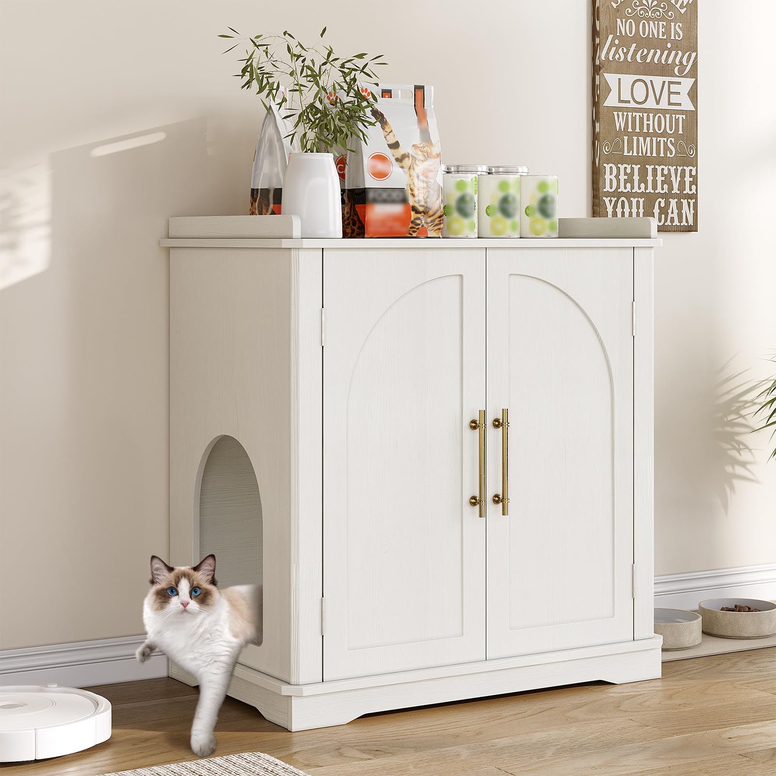 Cat Litter Box Enclosure 