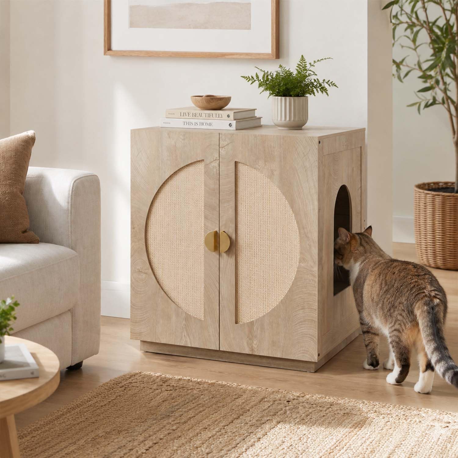 Cat Litter Box Enclosure with Shelves