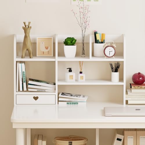 Cute Bookshelf for Desk